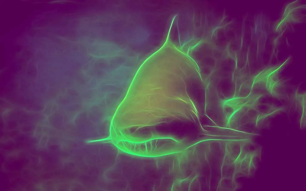 Sharkgaming – Allt du behöver veta